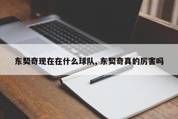 东契奇现在在什么球队, 东契奇真的厉害吗